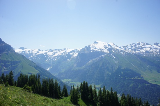 Near Horbis