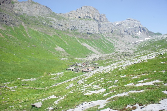 Alp