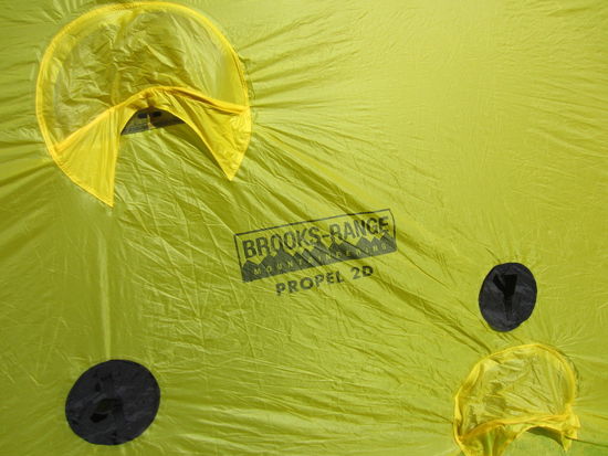 Brooks Propel Guyline