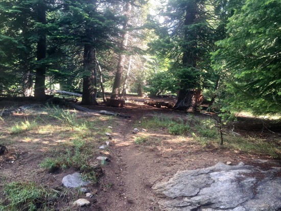 Tent Meadow campsite