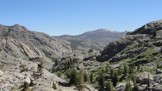 ediza