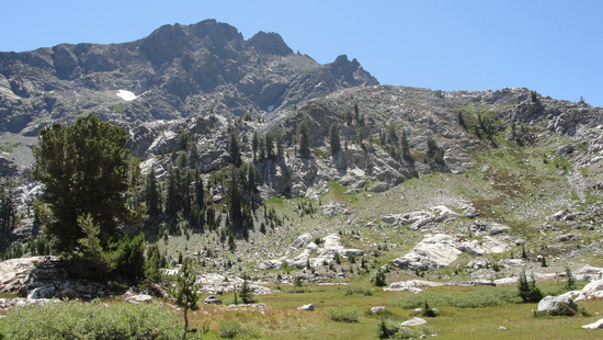 meadow