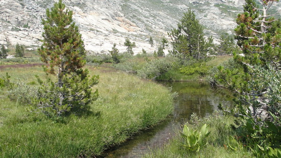 creek