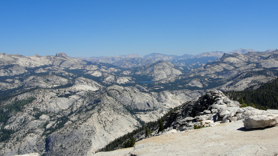 view