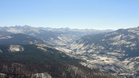 view