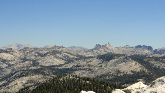 view