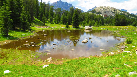 Fremont Trail Pond