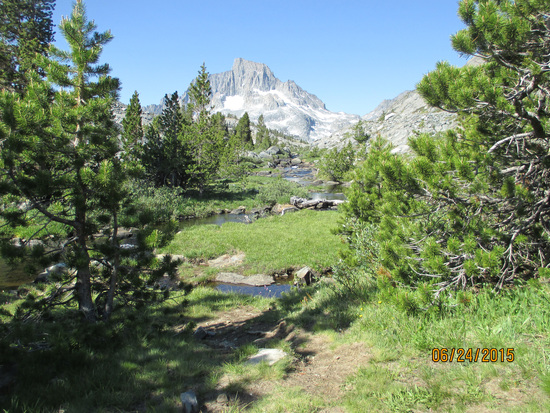 PCT Views