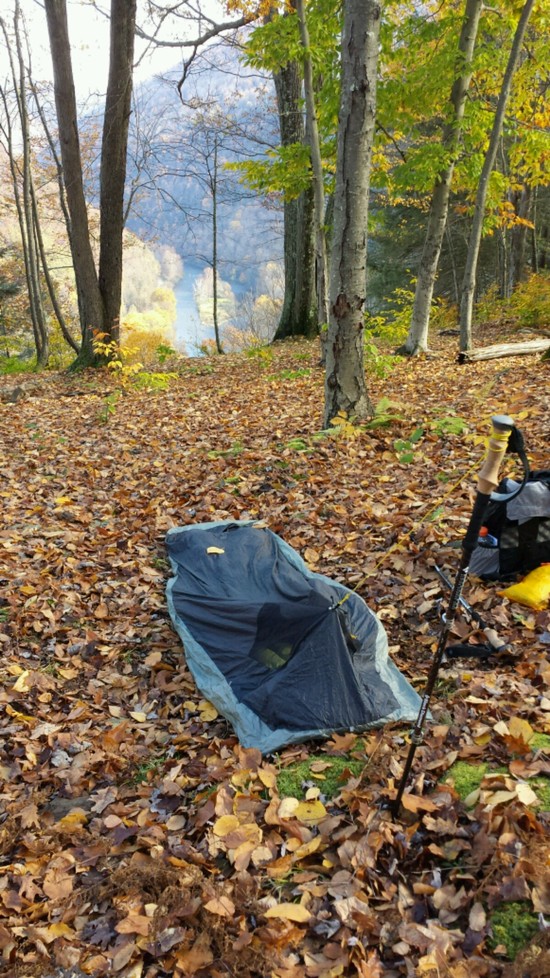 bristlecone bivy