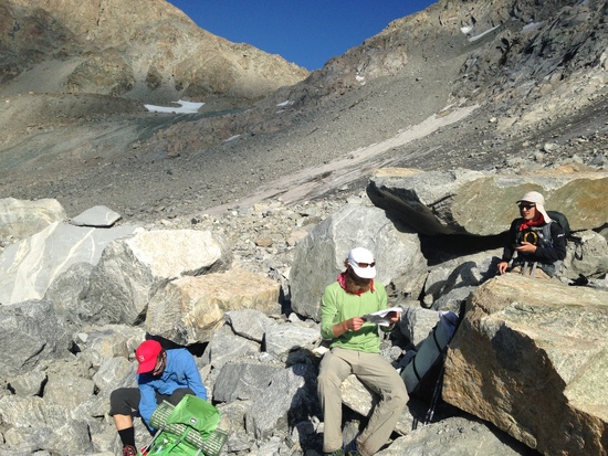 Talus 1