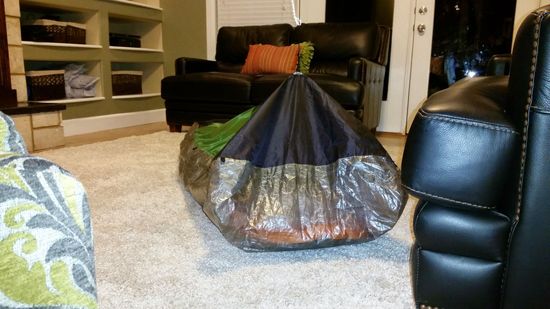 b1
