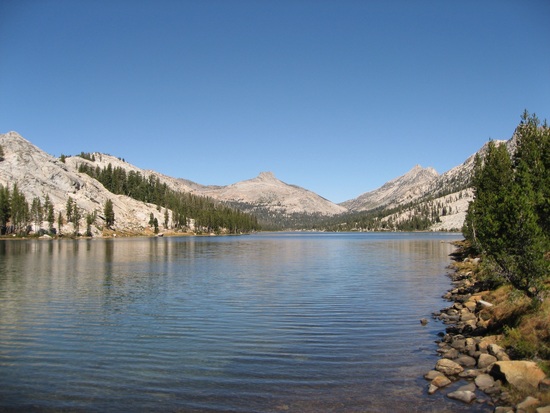 Tilden