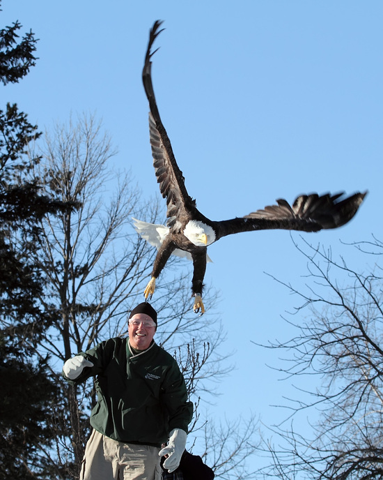 eagle release