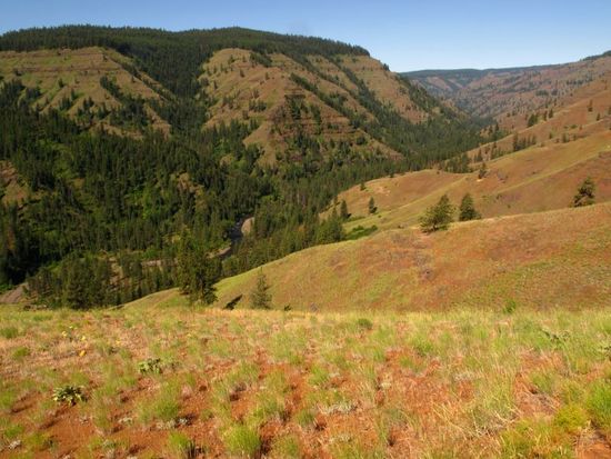 Wenaha River, from Smooth Ridge trail