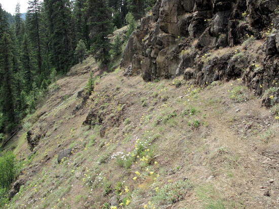 Wenaha River trail