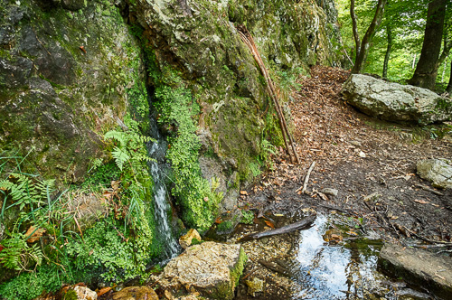 spring rock