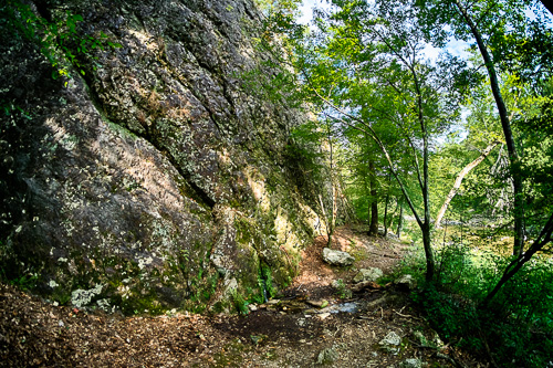 spirng rock 2