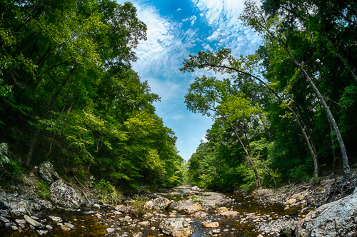 blaylock 1