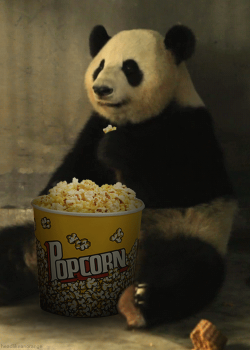 panda