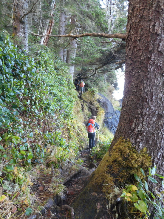 trail 1