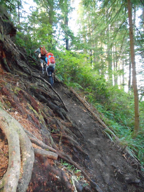 trail 2