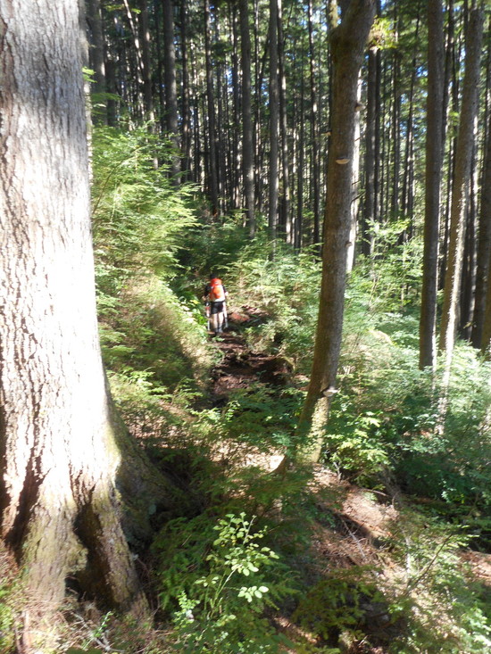 hikeout1