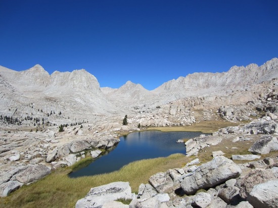 Three Tree Tarn
