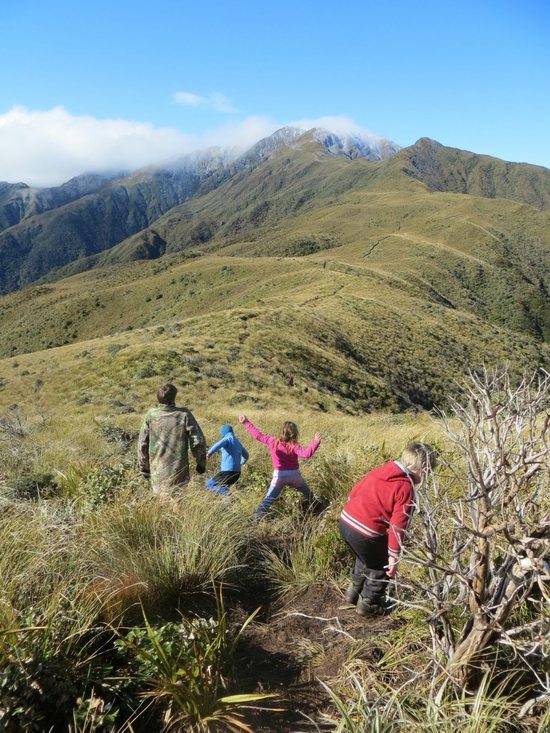 tararuas8