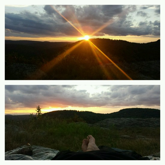 bivy